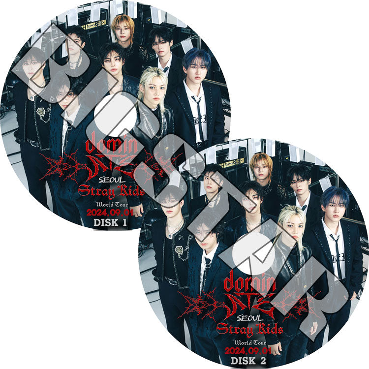 K-POP DVD/ STRAY KIDS 2024 WORLD TOUR IN SEOUL (2枚SET)/ Stray Kids ストレイキッズ キムウジン バンチャン イミンホ ソチャンビン..