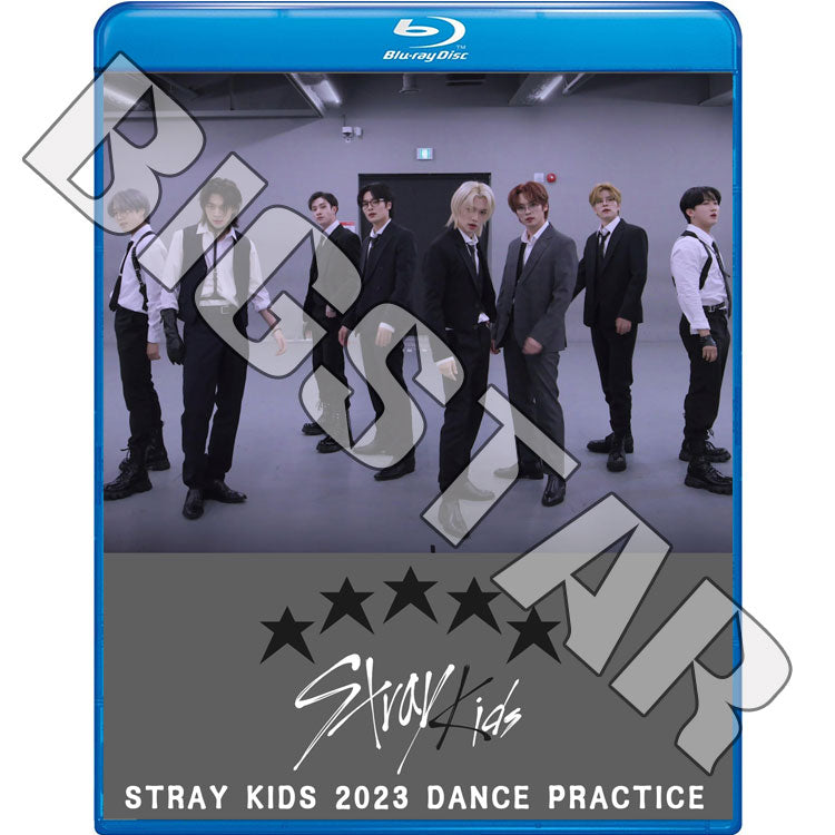 Blu-ray/ STRAY KIDS 2023 DANCE PRACTICE★S-Class CASE 143 MANIAC Thunderous Back Door God's Menu/ K-POP ブルーレイ スキズ