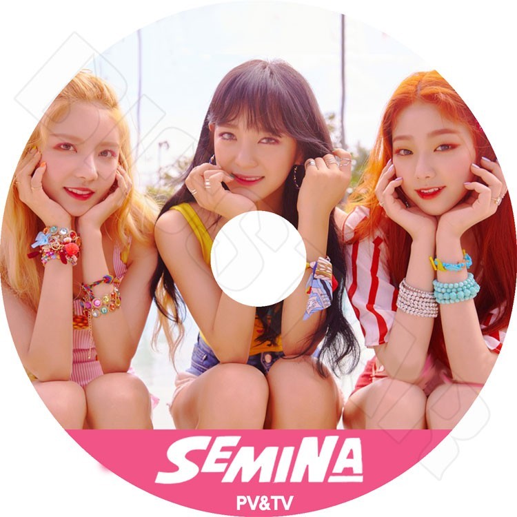 K-POP DVD/ GUGUDAN SEMINA 2018 PV&TV セレクト★SEMINA Rudy Heart／ググダン セミナ セジョン ミナ ナヨン KPOP DVD