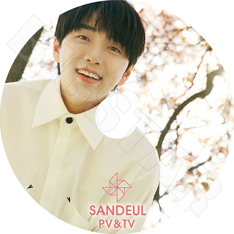 K-POP DVD/ SANDEUL 2019 PV＆TV セレクト★One Fine Day Stay As You Are／B1A4 ビーワンエーフォー サンドゥル SANDEUL KPOP DVD