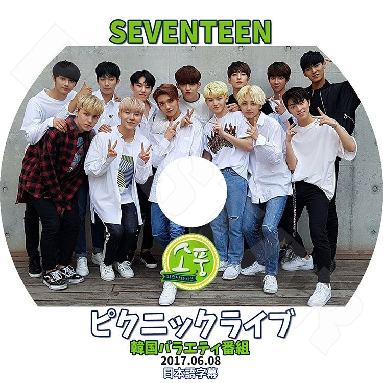 K-POP DVD/ SEVENTEEN ピクニック(2017.06.08)(日本語字幕あり)/セブンティーン セブチ エスクプス ウジ ミンギュ ホシ ウォヌ バーノン スングァン..