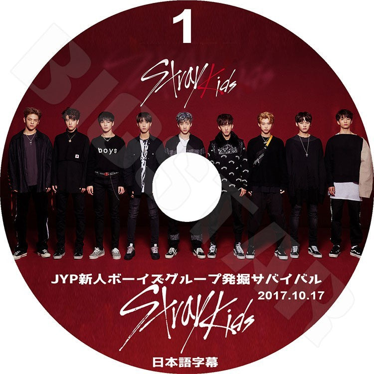 K-POP DVD/ Stray Kids #1 (2017.10.17) JYP 新人ボーイズグループ発掘サバイバル(日本語字幕あり)/ストレイキッズ バンチャン ソチャンビン ハンジソン..