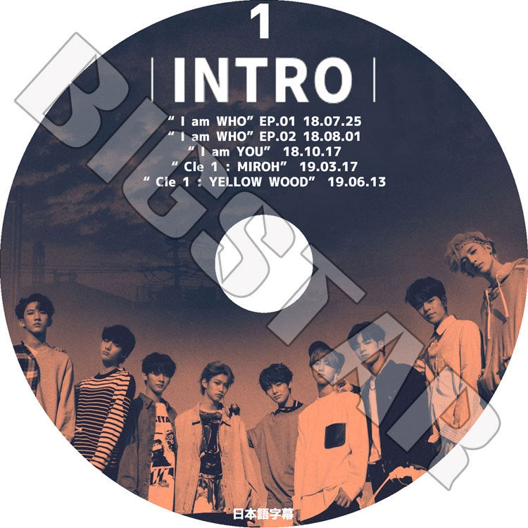 K-POP DVD/ Stray Kids INTRO #1(日本語字幕あり)/ ストレイキッズ バンチャン ソチャンビン ハンジソン キムウジン キムスンミン ヤンジョンイン イミンホ..