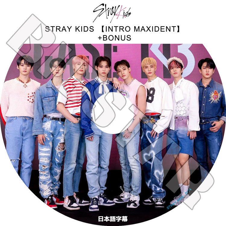 K-POP DVD/ STRAY KIDS INTRO MAXIDENT + BONUS(日本語字幕あり)/ Stray Kids ストレイキッズ 韓国番組 STRAY KIDS DVD