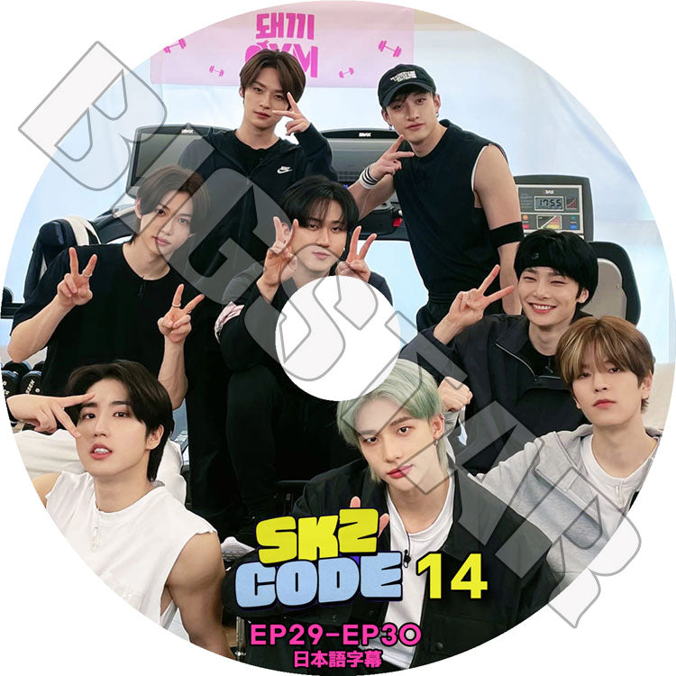 K-POP DVD/ STRAY KIDS SKZ CODE #14 (EP29-EP30)(日本語字幕あり)/ Stray Kids ストレイキッズ キムウジン バンチャン イミンホ ソチャンビン..