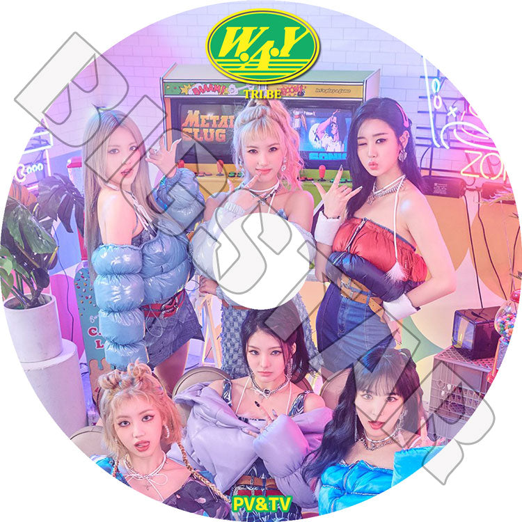 K-POP DVD/ TRI.BE 2023 PV/TV★WE ARE YOUNG KISS WOULD YOU RUN RUB-A-DUM LORO/ TRI.BE トライ・ビー ヒュンビン ジナ ソンスン ソウン..