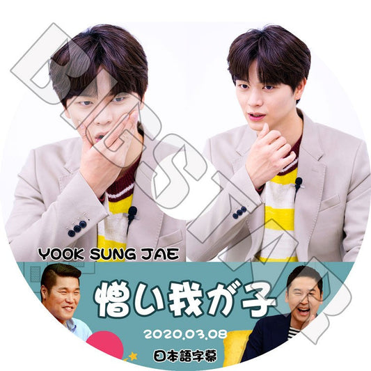 K-POP DVD/ BTOB ソンジェ 憎い我が子(2020.03.08)(日本語字幕あり)/ BTOB YOOK SUNG JAE KPOP DVD