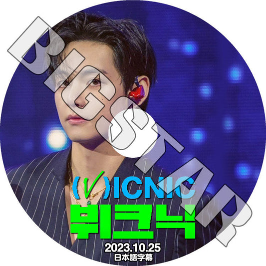 K-POP DVD/ バンタン テヒョン (V)ICNIC LAYOVER (2023.10.25) (日本語字幕あり)/ バンタン テヒョン V ジミン JIMIN BANGTAN KPOP DVD