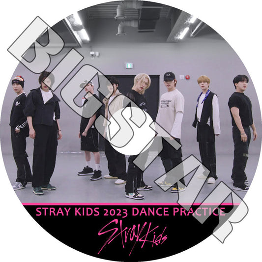 K-POP DVD/ STRAY KIDS 2023 2nd DANCE PRACTICE★Stray Kids ストレイキッズ スキズ KPOP DVD