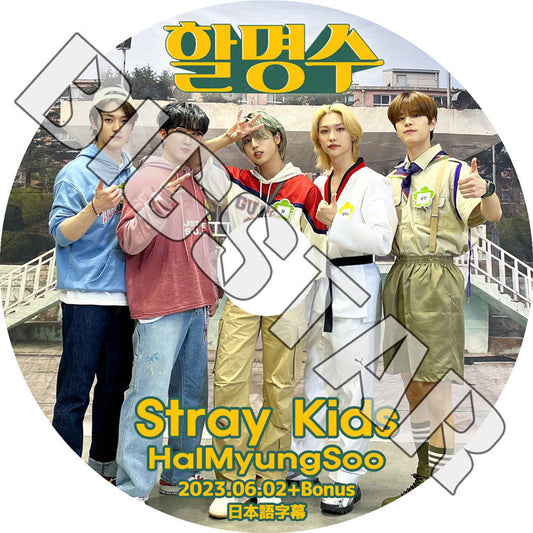 K-POP DVD/ STRAY KIDS HALMYUNGSOO+BONUS (2023.06.02) (日本語字幕あり)/ Stray Kids ストレイキッズ スキズ KPOP DVD