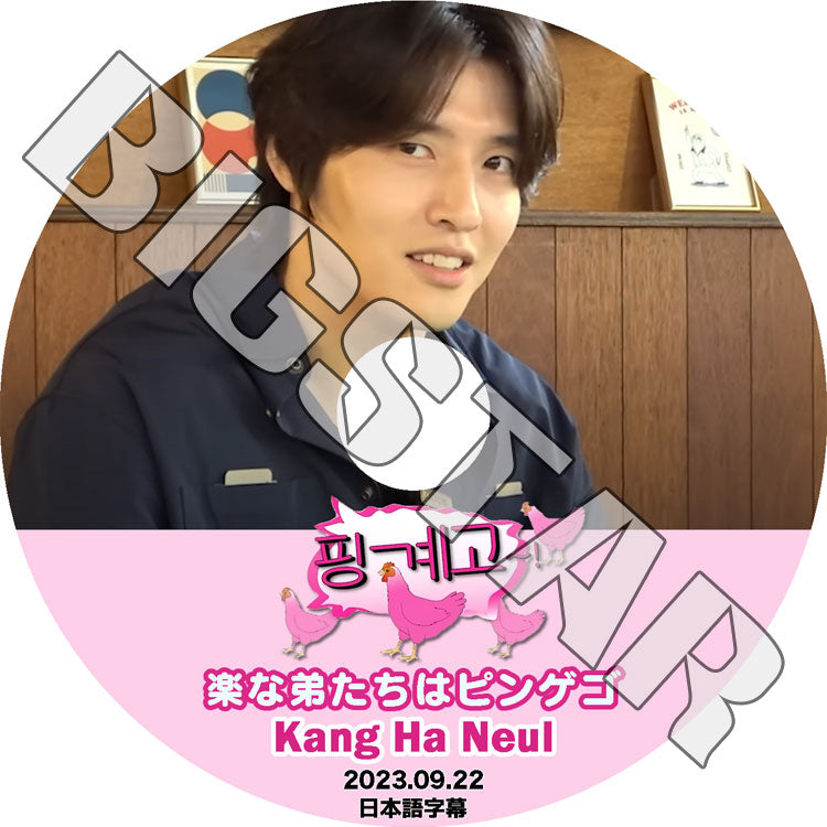 K-POP DVD/ 楽な弟たちはピンゲゴ カンハヌル編 (2023.09.22) (日本語字幕あり)/ Kang Ha Neul カンハヌル ACTOR KPOP DVD